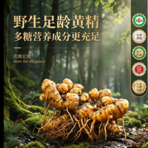 AI模型聚合服务展示